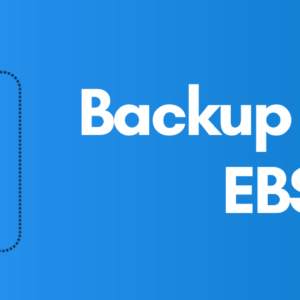 Backup-the-Encrypted-EBS-volumes-to-DR-Region